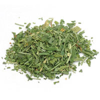 Rue Leaf (Ruta graveolens) 1/2 Oz. pkg.